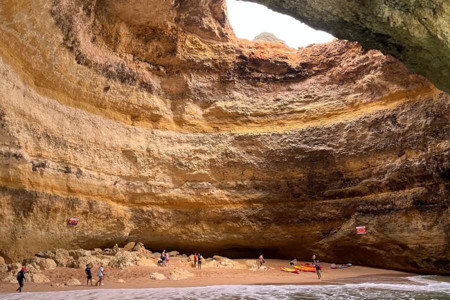 De Albufeira : Observação de Golfinhos e Passeio de Barco na Gruta de Benagil em pequeno grupo