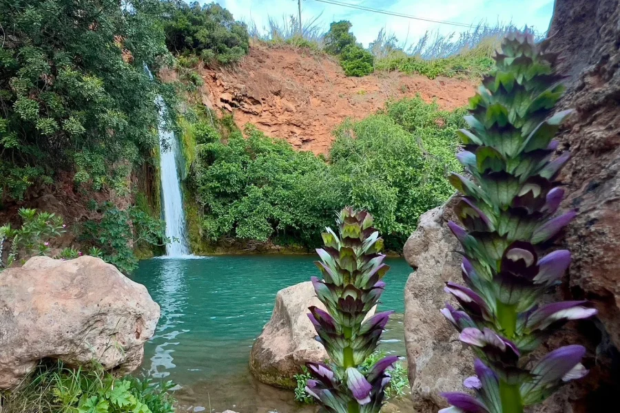 Local Roots Tour – Tradições e Sabores do Algarve : Loulé , Alte e Queda do Vigário